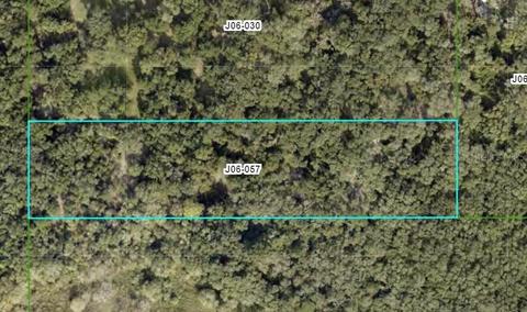 0 Cr 416 N, Lake Panasoffkee, FL 33538