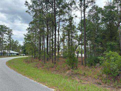 0 Locust Lane Dr, Ocala, FL 34472