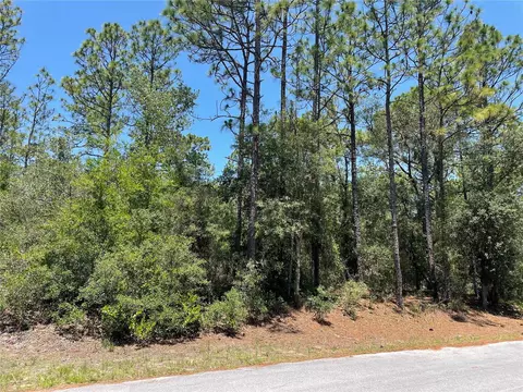 Tbd Pineapple Hill Drive, Dunnellon, FL 34430