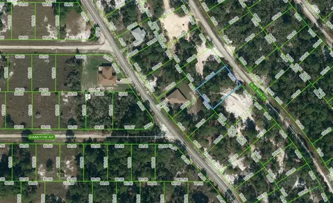 512 Blue Skies Dr, Lake Placid, FL 33852