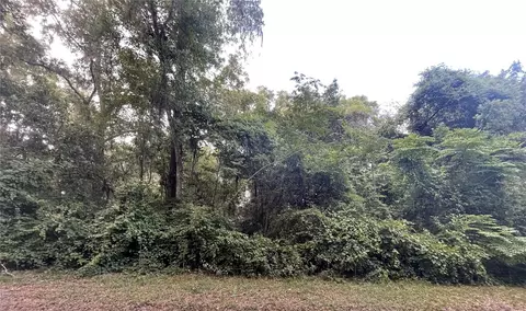 tbd SE 50 Avenue Rd, Belleview, FL 34420