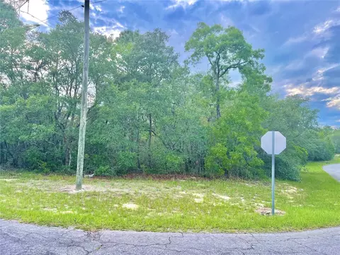 Tbd SW 155th Street Road Lot 1, Ocala, FL 34473