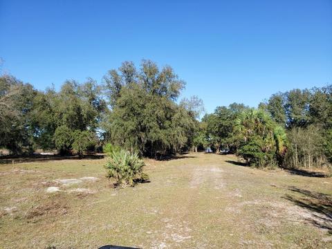 13 Ac Ne Hwy 315, Fort Mc Coy, FL 32134