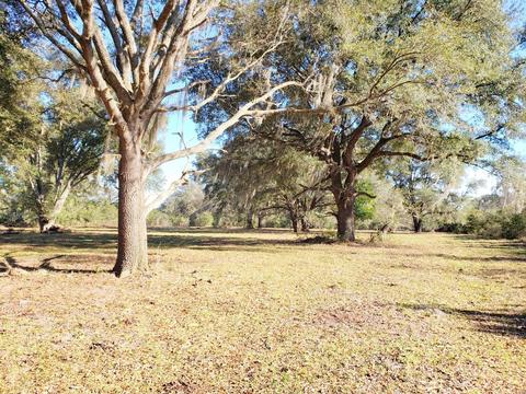 Hokkolen Lot #2 NE Hwy 315, Fort Mc Coy, FL 32134