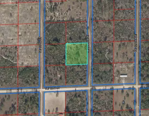 1290 NE 128th Ave, Williston, FL 32696