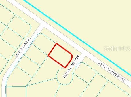 0 Guava Lane Run, Ocklawaha, FL 32179