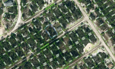 450 Apple Blossom Ct, Lake Placid, FL 33852