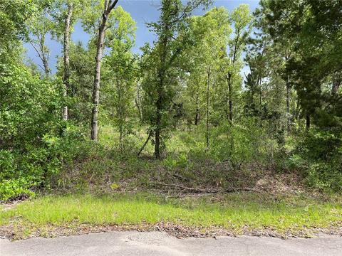 Fisher Lane Way, Ocklawaha, FL 32179