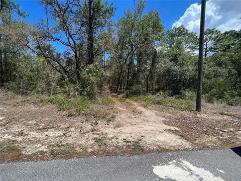 9011 Waterbird Way, Weeki Wachee, FL 34613