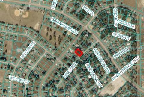 Tbd Pine Radial, Ocala, FL 34472
