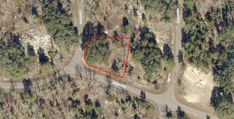 0 Fisher Lane Run, Ocklawaha, FL 32179