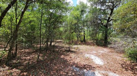 00 NE 122 Pl, Bronson, FL 32621