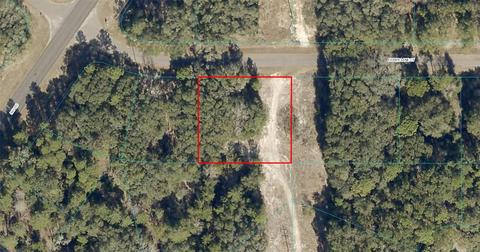 0 Fisher Lane Ct, Ocklawaha, FL 32179