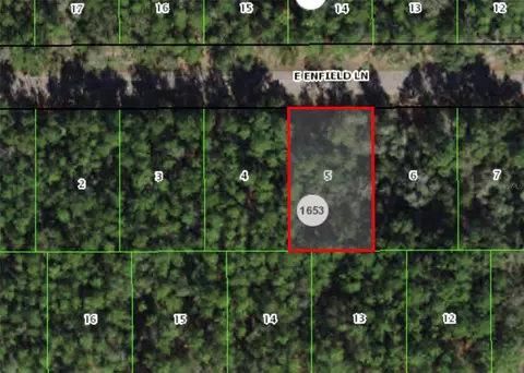 398 Enfield Ln, Citrus Springs, FL 34433