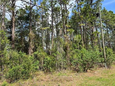 7686 N Udal Dr, Citrus Springs, FL 34433