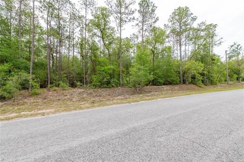 SW 205th Circle, Dunnellon, FL 34431