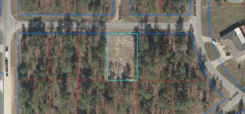 Tbd NE 5th Avenue, Williston, FL 32696
