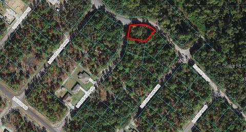 Tbd Locust Loop Place, Ocala, FL 34472