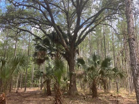 Tbd NE 100 Avenue, Fort Mc Coy, FL 32134