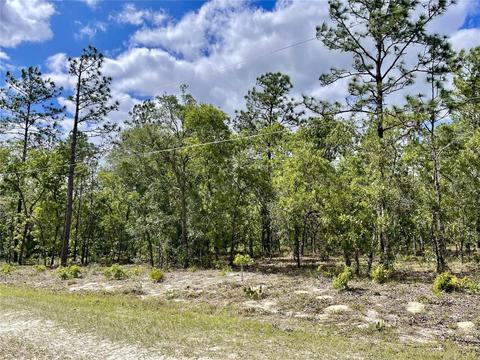 00 SW 88th St, Dunnellon, FL 34432