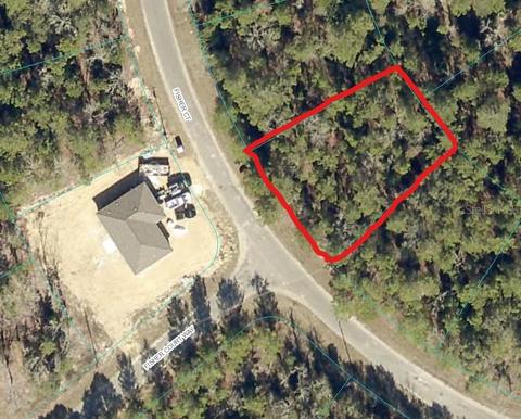 Fisher Court, Ocklawaha, FL 32179