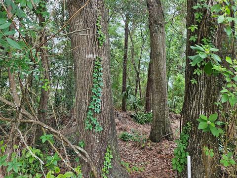 Tbd SW 194th Court Lot 37, Dunnellon, FL 34432