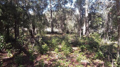 923 Broad St E, Lehigh Acres, FL 33974