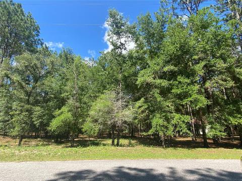 Lot 39 SW 75 Loop, Dunnellon, FL 34432