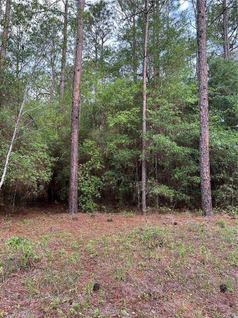 00 201 Ave, Dunnellon, FL 34431