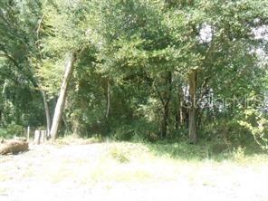 0 SE 138th, Summerfield, FL 34491