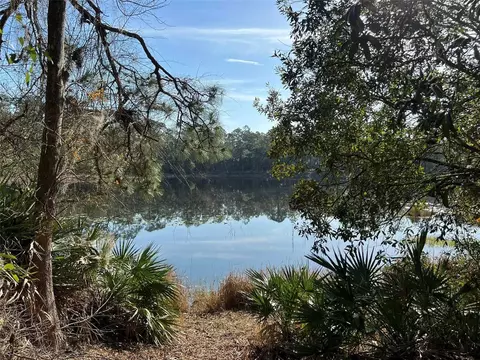 634 Cousintown Rd, Interlachen, FL 32148 photo 1