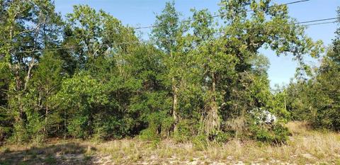 0 SE 93rd Ave, Summerfield, FL 34491
