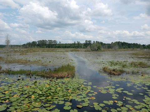 1801 SE 190th Ave, Silver Springs, FL 34488