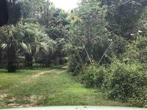 Tbd SE 95th Place, Ocklawaha, FL 32179