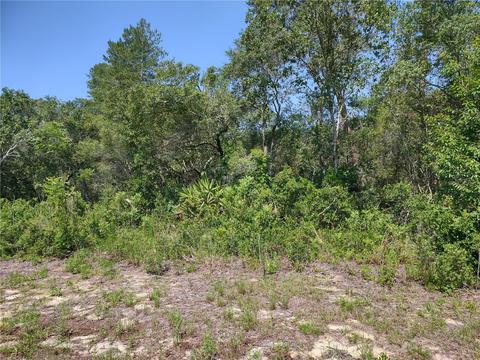 19 Southwest 18th Street, Ocala, FL 34473