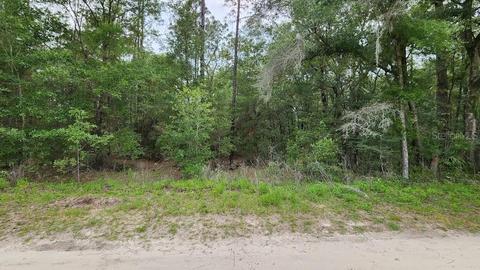 SW 151st Avenue, Ocala, FL 34481