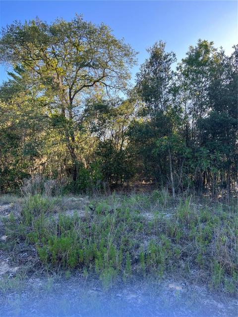 Lot 5 SW Jonquil Court, Dunnellon, FL 34431