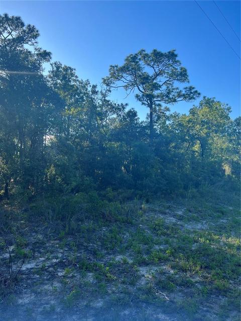 Lot 6 SW Jonquil Court, Dunnellon, FL 34431