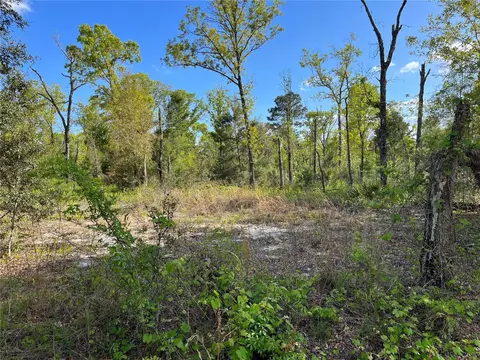 Fisher Lane Way, Ocklawaha, FL 32179