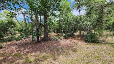 SW Pine Bluff Road, Dunnellon, FL 34431