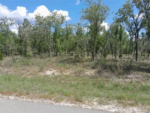 00 NE 13th Ln, Williston, FL 32696