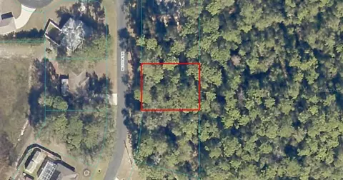 Tbd Lot 12 NE 130th Terrace, Silver Springs, FL 34488