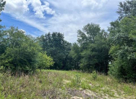 2404 Tyler St, Inverness, FL 34453