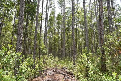 Ne 130th Ave, Fort Mc Coy, FL 32134