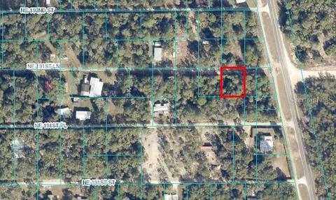 NE 191st Lane, Fort Mc Coy, FL 32134
