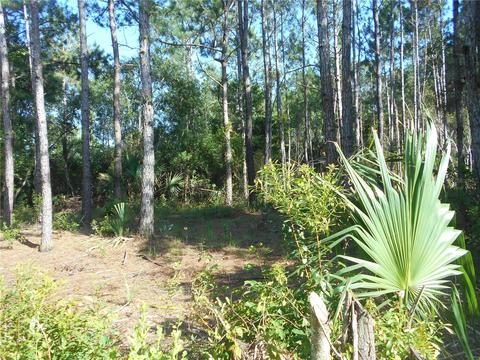 SE 1 Street Road, Silver Springs, FL 34488