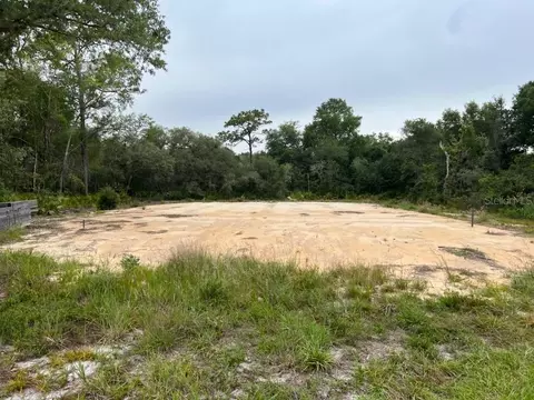 174 SE Fisher Way Loop, Ocklawaha, FL 32179