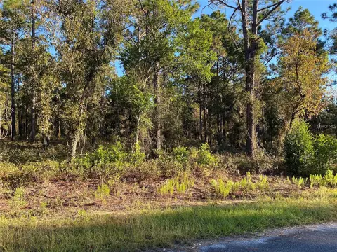 00 SW Rainelle Rd, Dunnellon, FL 34431