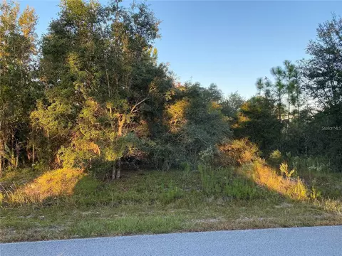 00 Hyacinth Ct, Dunnellon, FL 34431