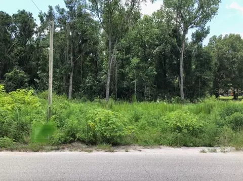 0 NE 167th Pl, Citra, FL 32113